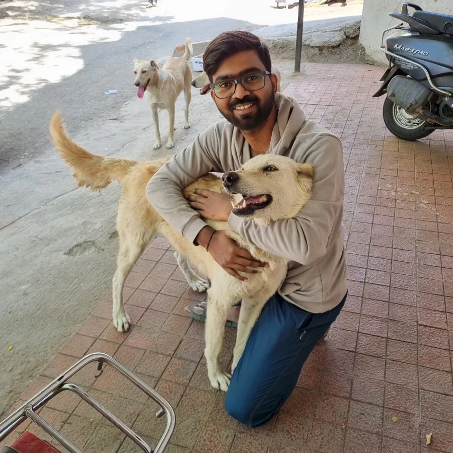 Love stray animals - SAW NGO